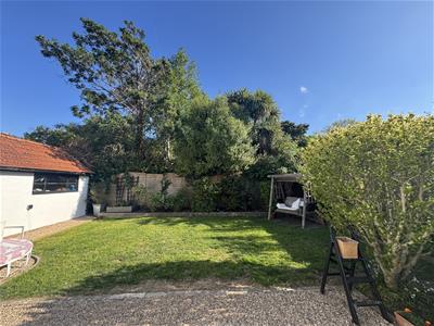 Picture 29